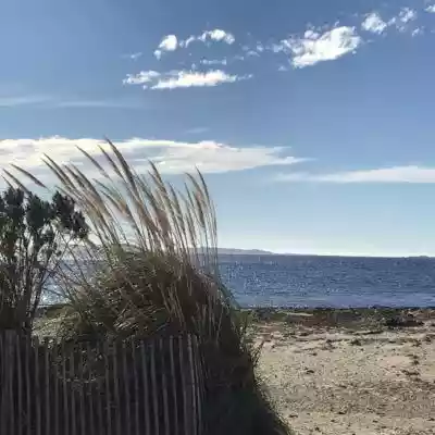 Miramar Beach