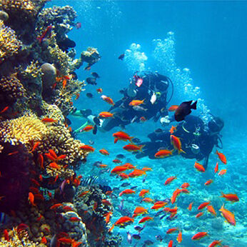 Scuba Diving Groups at the Campsite