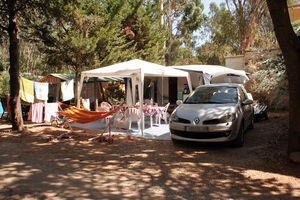 Tent pitches in a wooded campsite - Côte d’Azur