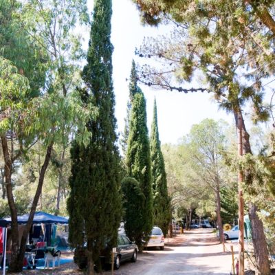 Basic pitches - caravans & motorhomes