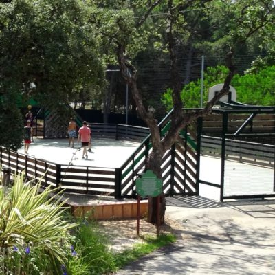 Sport at the Campsite