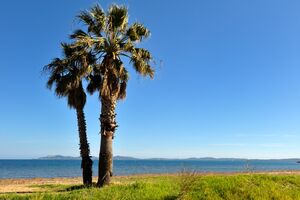 Camping Les Jardins de la Pascalinette ®