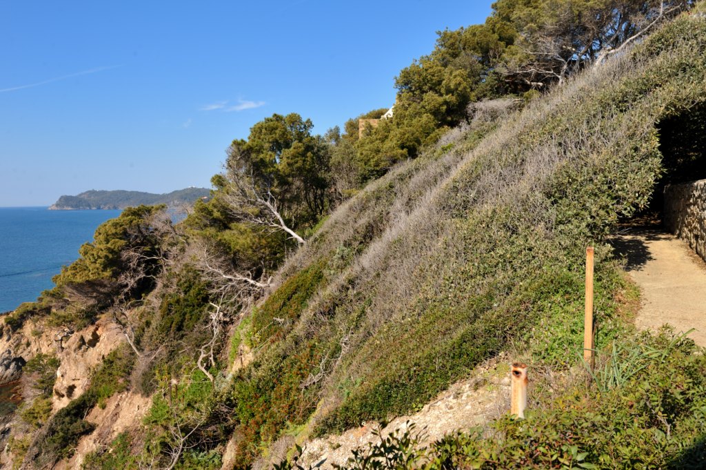 Campsite near Giens peninsula