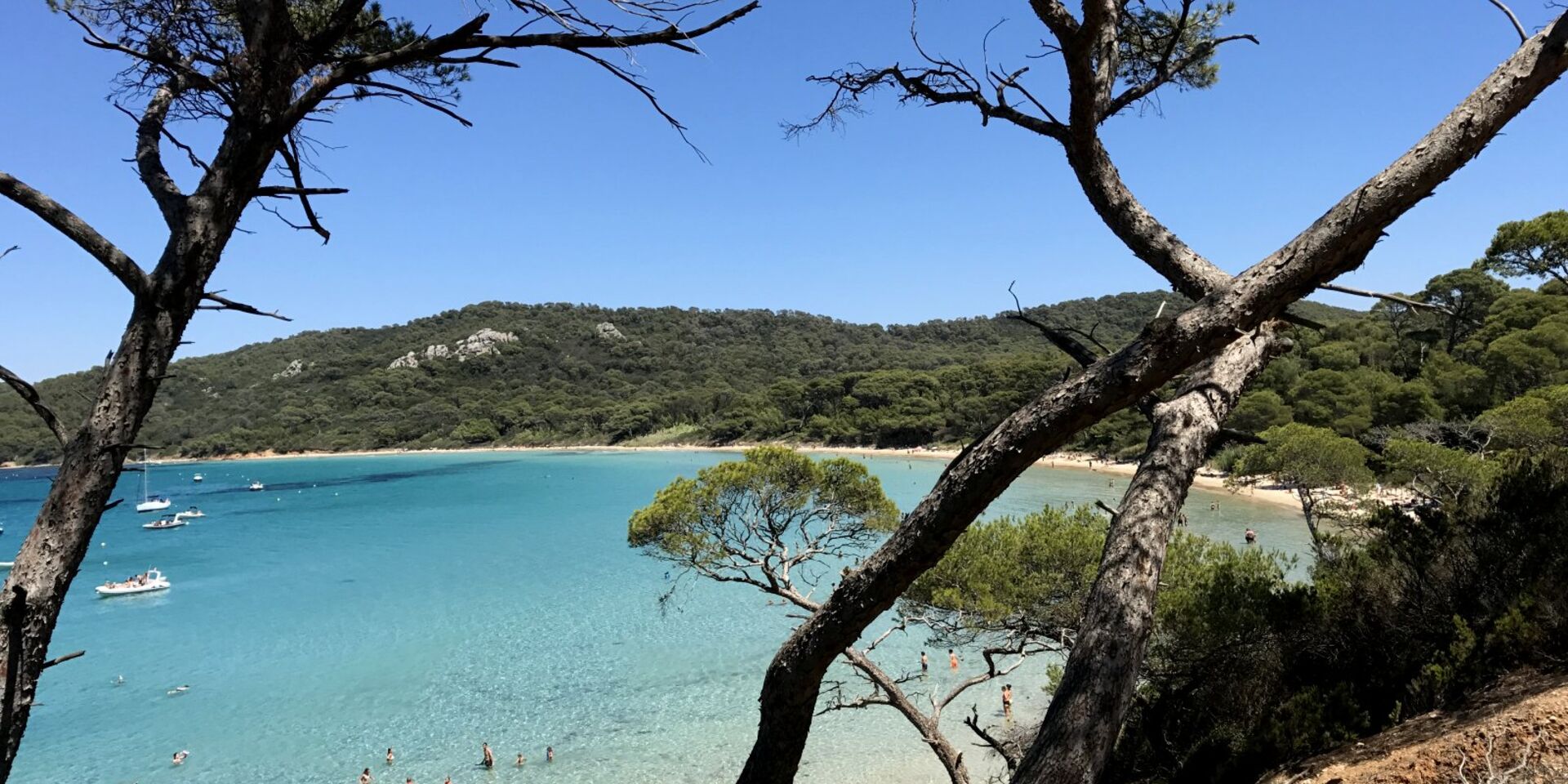 Var campsite near Porquerolles