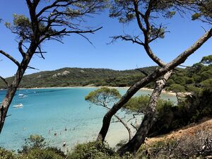 Var campsite near Porquerolles