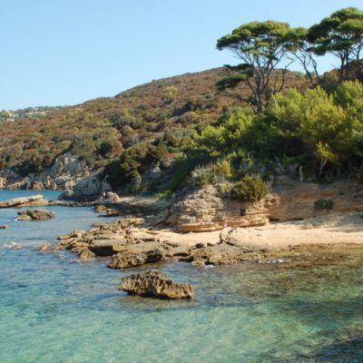 A Var campsite near Ile du Levant - Hyères