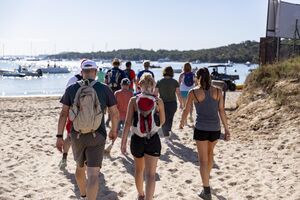 Mediterranean walks from the campsite