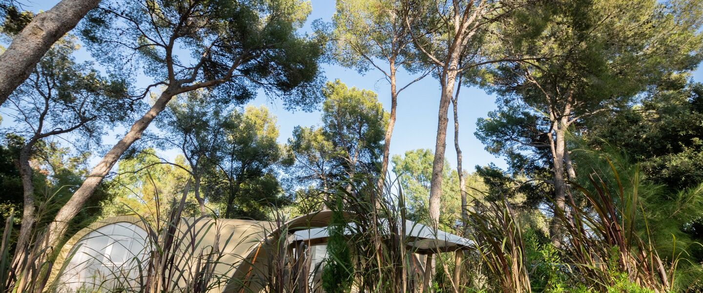 Campsite on the French Riviera in a canvas bungalow Holiday nature