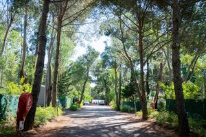 Nature camping 'slowlife' on the French Riviera-Côte d'Azur 