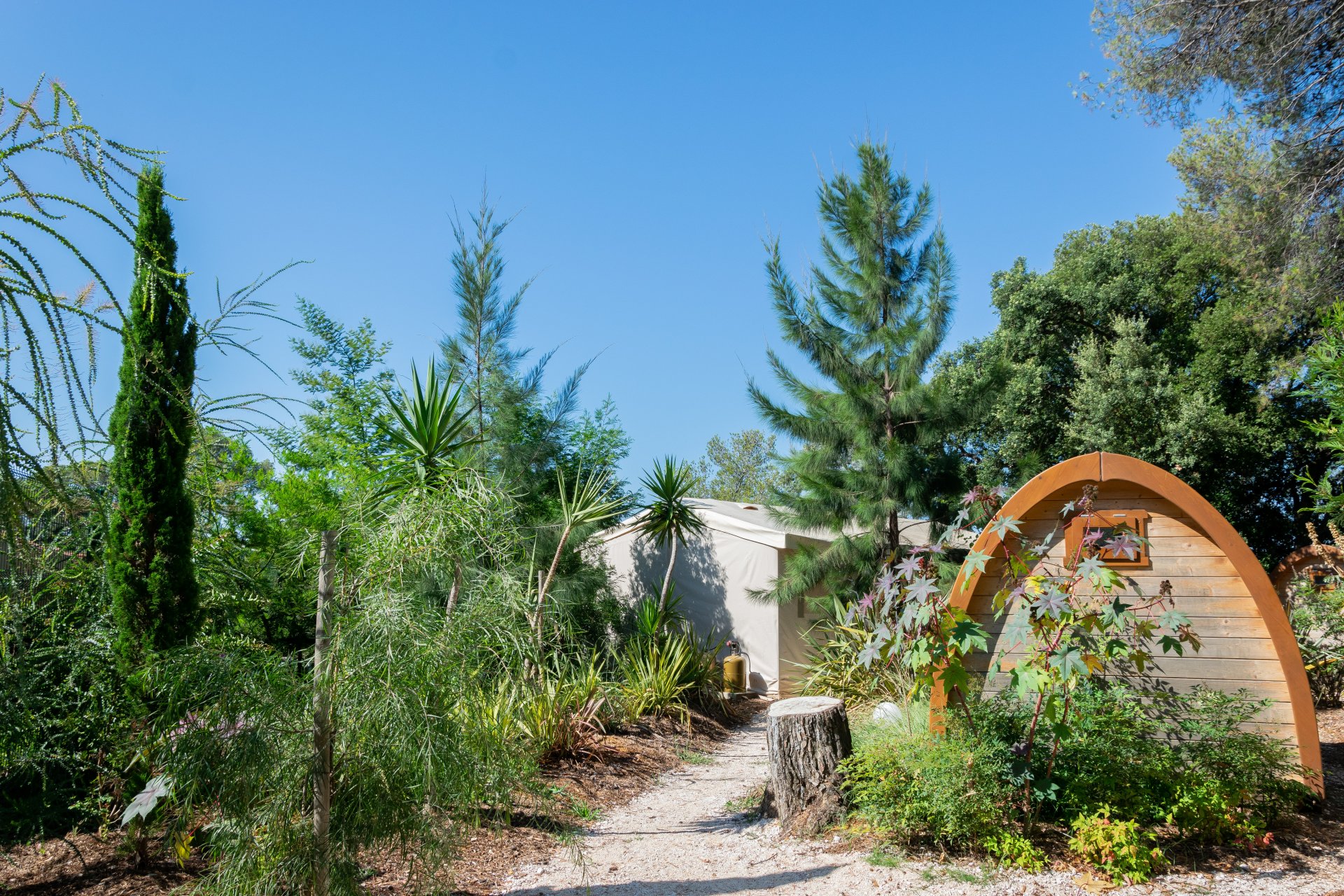 Nature camping with friends 10 people Hyères Tight budget