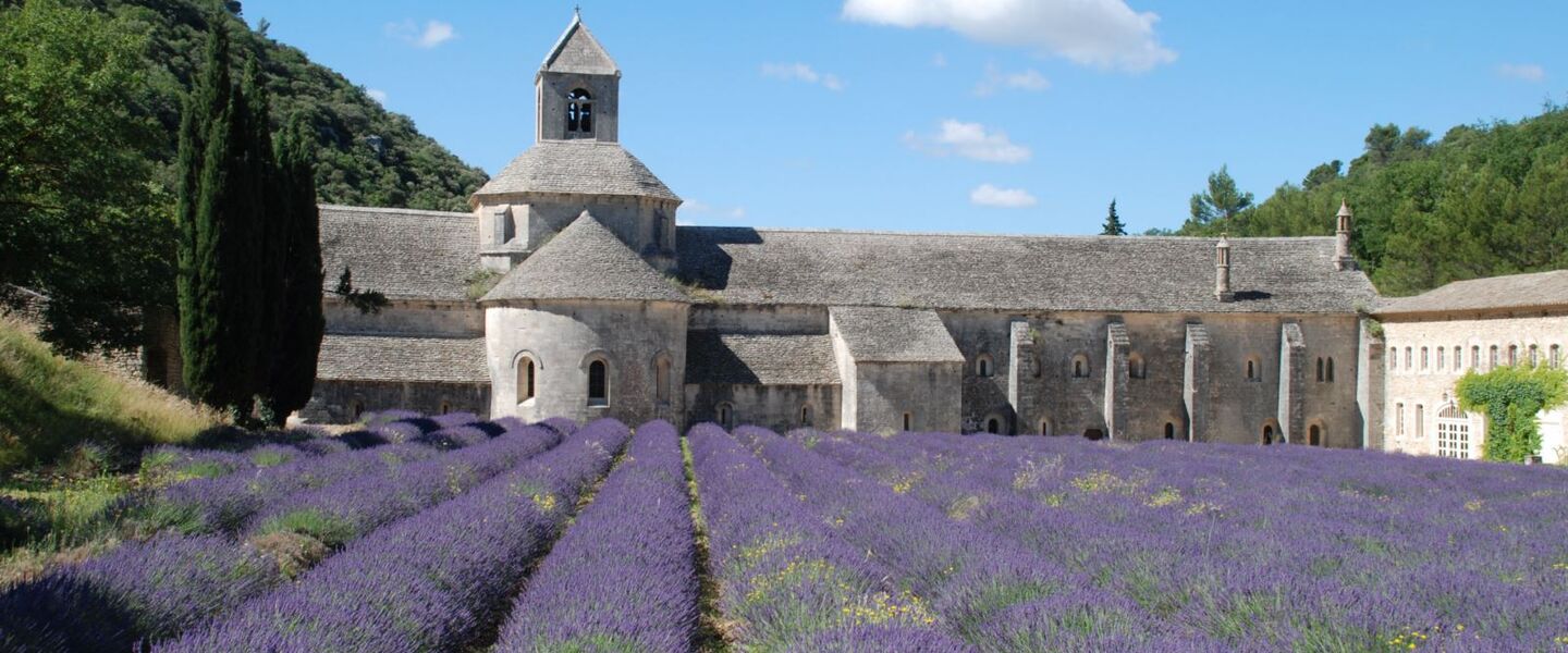 Sénanque Abbey – the Vaucluse area's spiritual heritage