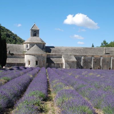 Sénanque Abbey