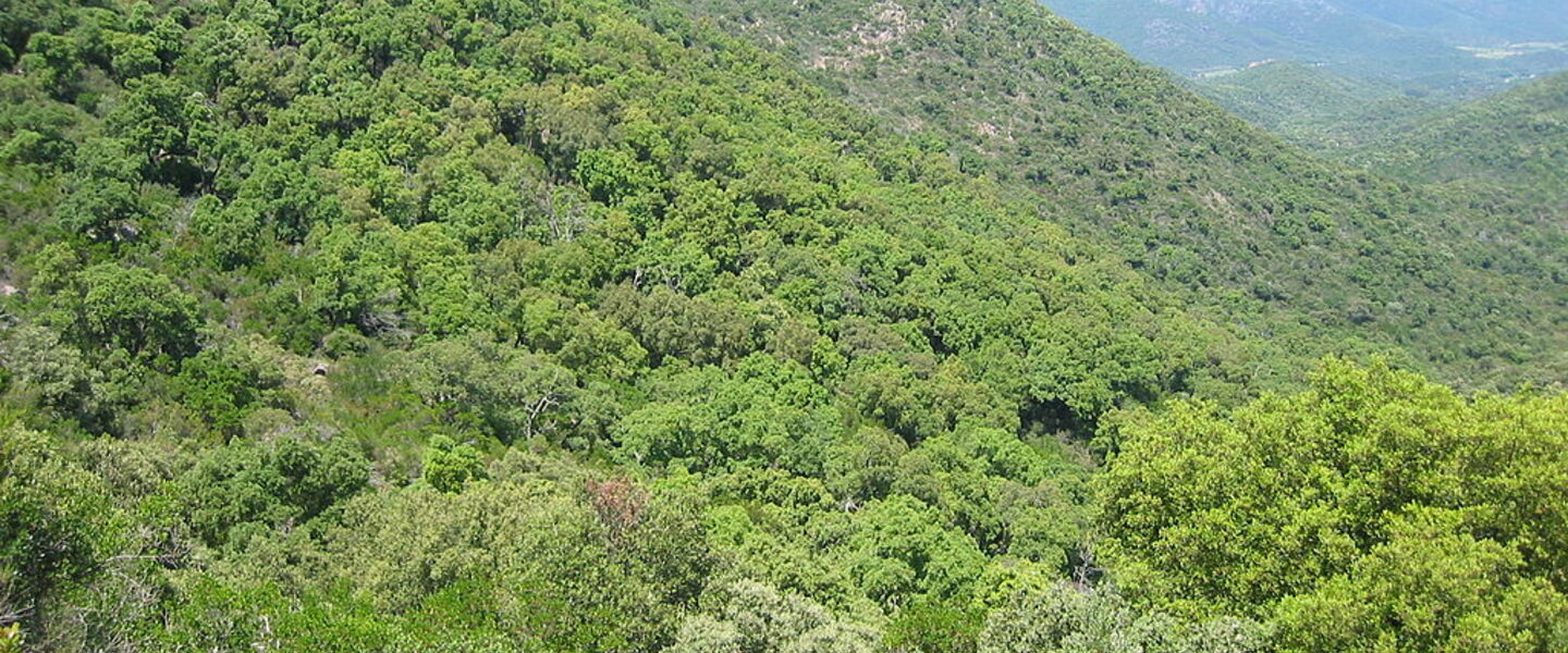 Maures hills between Hyères and Saint-Raphaël in the Var area