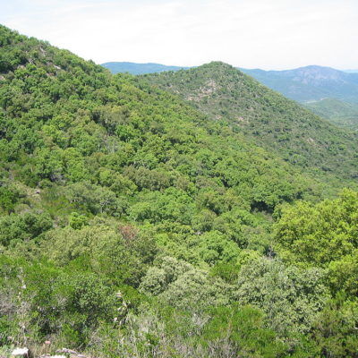 The massif des Maures