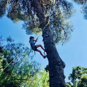 Family campsite - Sporting holiday- Climbing