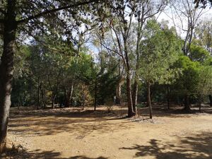 Large pitches South of France - cheap camping