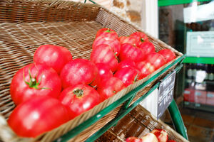 Discover the campsite shop in Provence