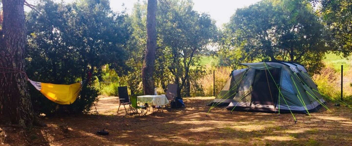 Premium Extra Large pitches camping in the South of France
