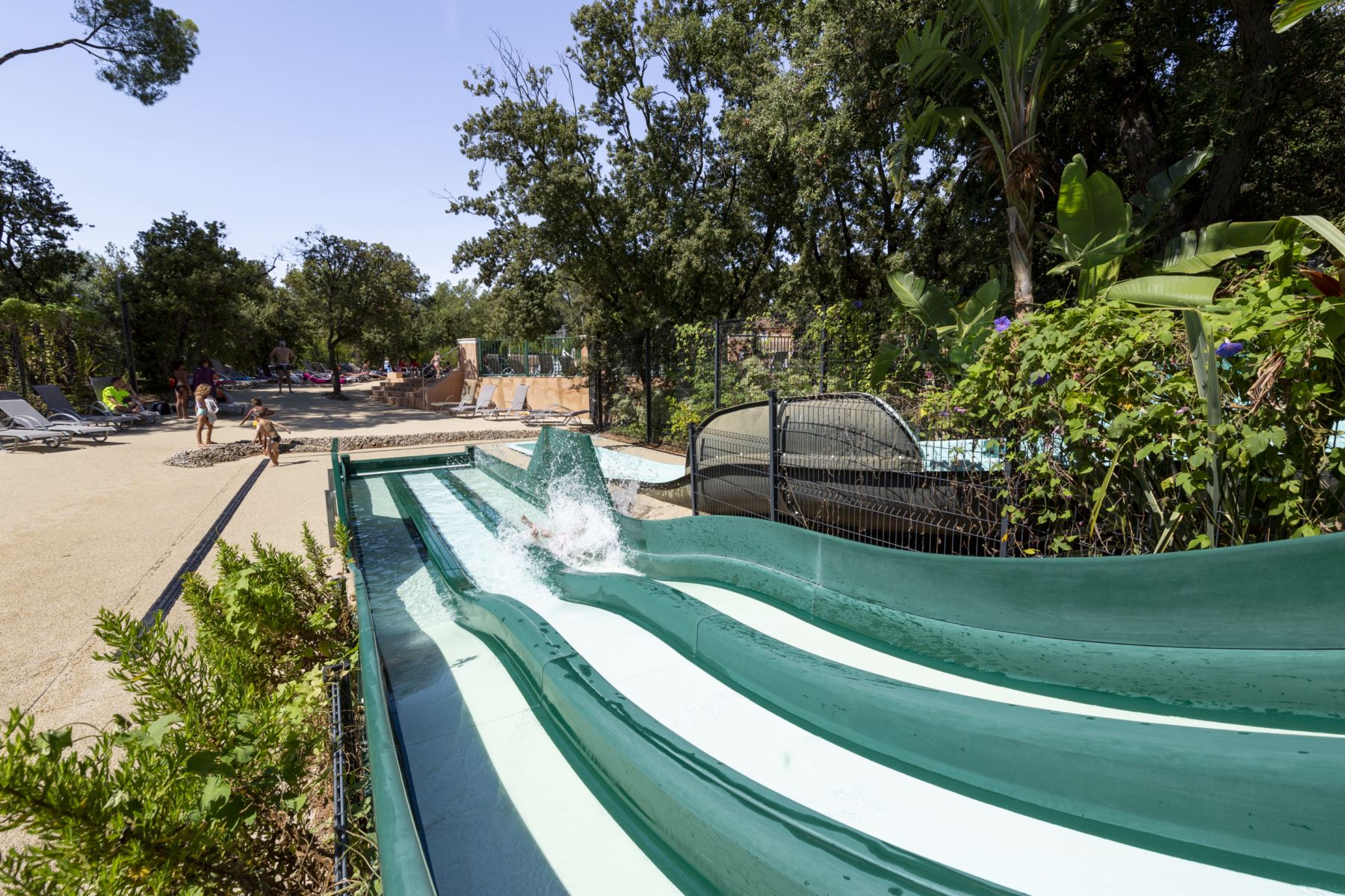 Swimming pool Waterslide Family Water park Animation