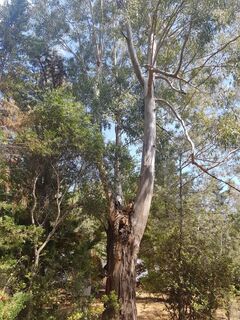 Holidaying in exceptional vegetation