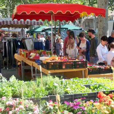 Explore Provence's markets during your camping holiday