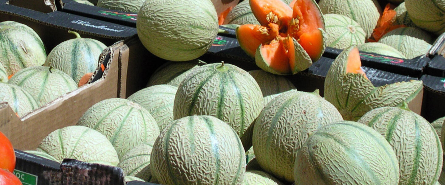 Melon for your camping holiday at Les Jardins de La Pascalinette®
