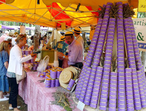 Camping holiday lavender picking