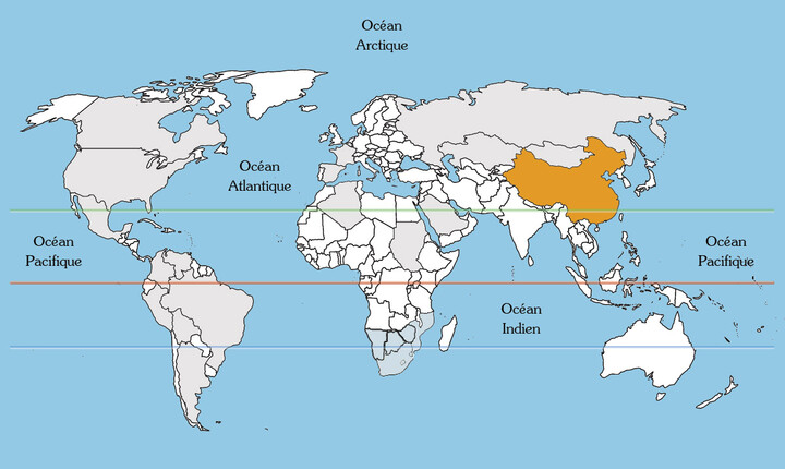 Japanese Medlar