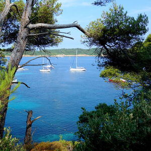 Campsite Porquerolles Le Levant Port-Cros