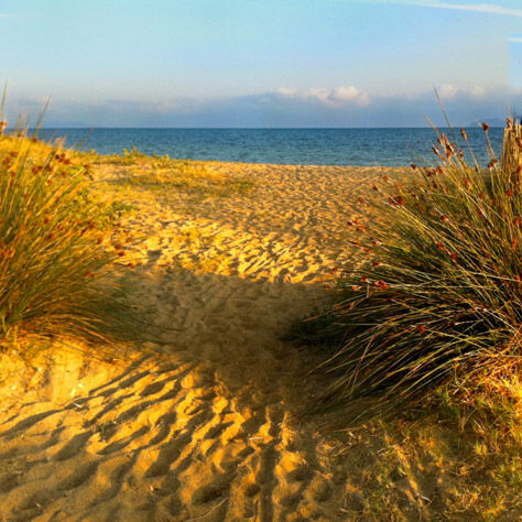 The most beautiful beaches in the Var around the campsite