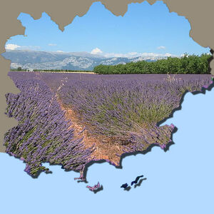 Visit the Var and Provence during your camping holiday