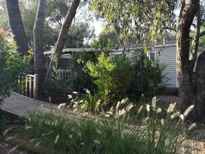 French Riviera campsite - reduced-mobility holiday