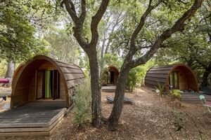 In a hut in a campsite with friends-low cost holiday 