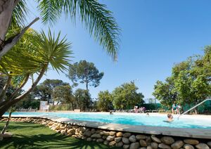 A campsite water park with palm trees just like in Hyères...