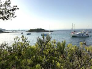 Camping holiday in the Var - Hyères