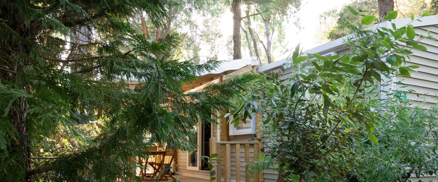 Campsite 100% nature Hyères mobile home premium