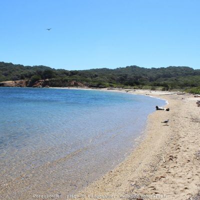 Langoustier beach (Porquerolles)