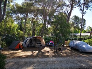 Premium XXL pitch for a large tent, large camper van or caravan in the Var, French Riviera-Côte d'Azur