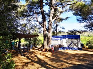Large pitches for tents, camper vans and caravans