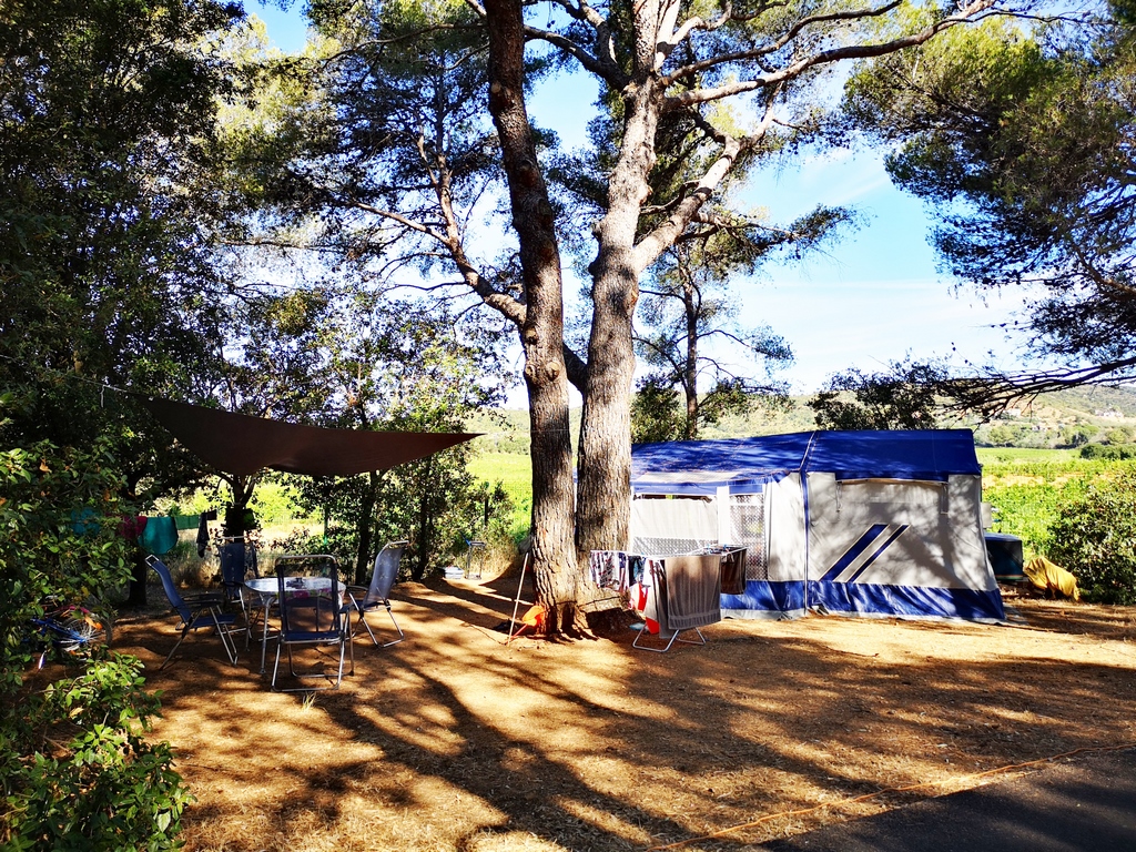 Large pitches for tents, camper vans and caravans