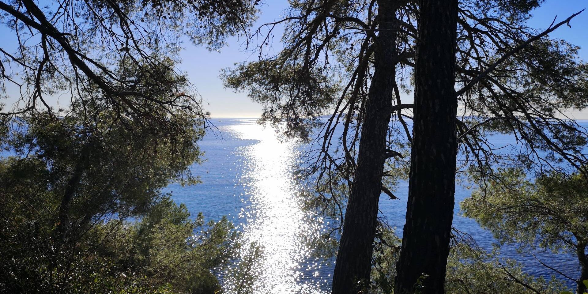 Campsite near Pellegrin beach La Londe Les Maures