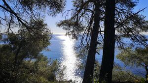 Campsite near Pellegrin beach La Londe Les Maures