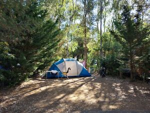 Top-Comfort Camping Pitch La Pascalinette