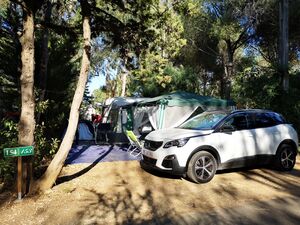 Top-Comfort Caravan Pitch Campsite La Londe