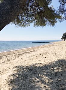 A shaded beach in La Londe