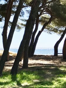 A shaded beach in the Var, French Riviera-Côte d'Azur