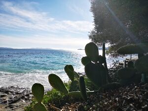A sandy beach in Le Lavandou