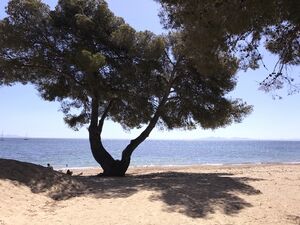 A sandy beach in the Var, French Riviera-Côte d'Azur