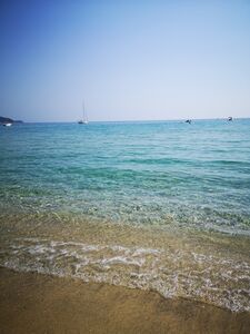 Profiter des plages de sable du Var