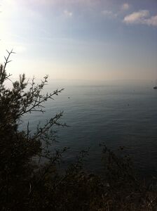 View of the coastal footpath on Giens peninsula